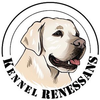Логотип @kennelrenessans - КЛУБ РЕНЕССАНС
