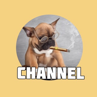 Логотип @kentmon_channel - Канал KentMon