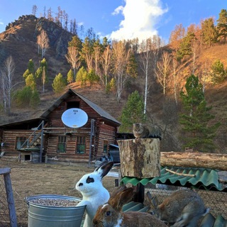 Логотип @keram_kamlak_chat - Чат избушки под горой