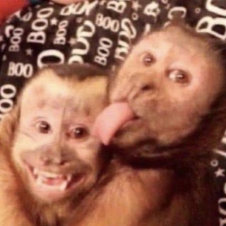 Логотип @kerherone - 500 метров от вас