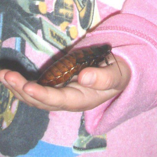 Логотип @keroharochka - Kerohara