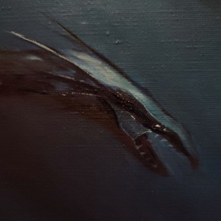 Логотип @keto_sea - Дно Морское 🌊