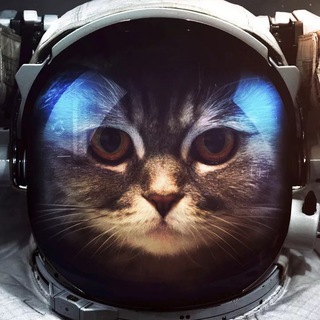 Логотип @keycollectorchat - Key Collector NEWS Chat