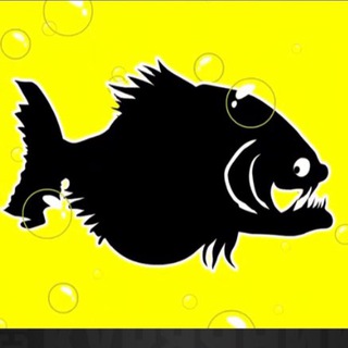 Логотип @kf_ekb - KILLFISH EKB