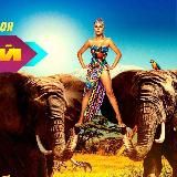 Логотип @kfc_promokodyy - Промокод Спортмастер Яндекс Еда