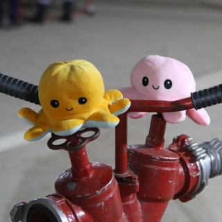 Логотип @kgimsaktiv - ЗАКУЛИСЬЕ KГИМС