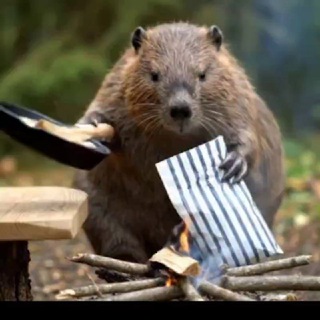 Логотип @kgp23 - Dymovoi