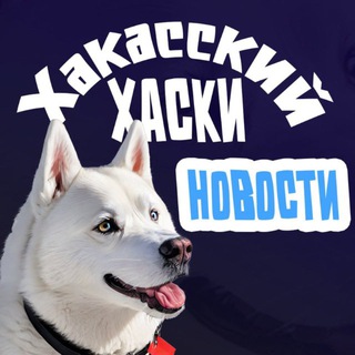 Логотип @khakassian_husky - Новости | Хакасский хаски