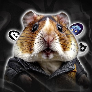 Логотип @khamsterkombatkombo - 🔸 Криптовалюты. Новости