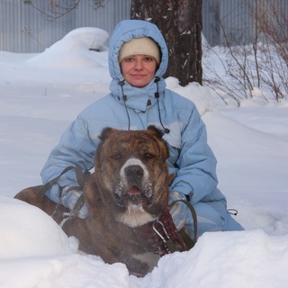 Логотип @khan_cobaka - KHAN-СОБАКА!