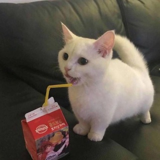 Логотип @ki33meli333 - can i kill you?