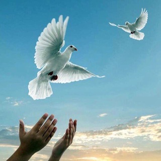 Логотип @kibykv - Християнські пісні🖤