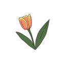 Первый ближневосточный | Иран 🇮🇷 | Ливан 🇱🇧