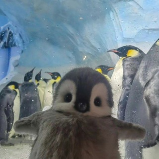 Логотип @kilf1l - .