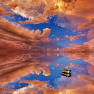 Логотип @killshot2020 - The Globe Is DEAD!!!!🐻