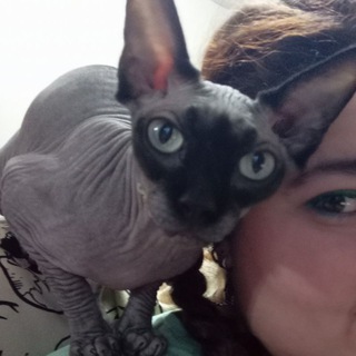 Логотип @kilyacat - daily Килифь
