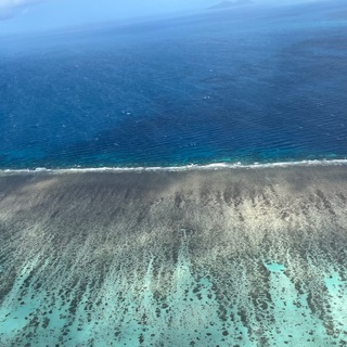 Логотип @kimmy_au - кими но австралия