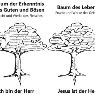 Логотип @kinder_gottes_israel_08 - 8️⃣🛁&🌳 Rechtswahl: Verstehen und Handeln