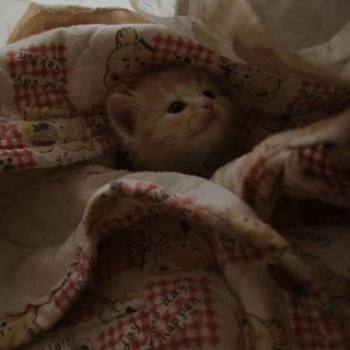 Логотип @kinerichat - - ᴋɪɴᴇʀɪᴄʜᴀᴛ -