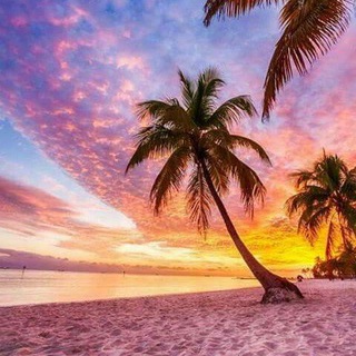 Логотип @kinezio_olga - Психолог, кинезиолог Ольга Петрова