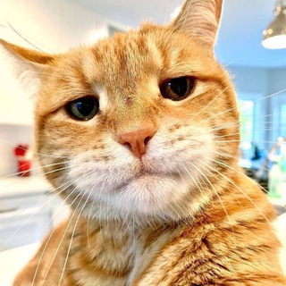 Логотип @kino_ad - Кино поиск / после 3 / веном /