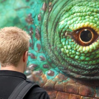 Логотип @kinoclub_channel - Анонсы КиноКлуба ПдР