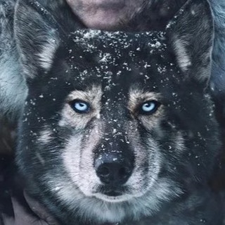 Логотип @kinogrom1 - Ссылка на фильм ‼️