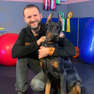 Логотип @kinolog_nikolaykozlov - Кинолог Николай Козлов
