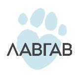 Школа ЛавГав | Всё о Псё