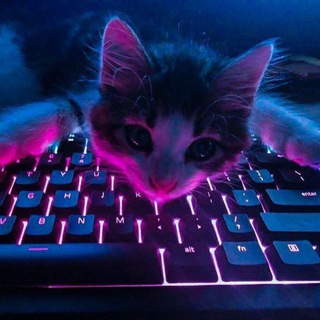 Логотип @kinomanydaily - Movies time chat
