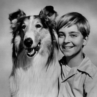 Логотип @kinopesik - Кинопёсик