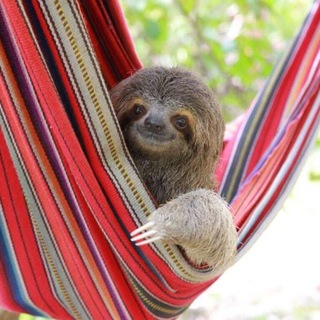 Логотип @kinopiter - Съемки в кино СПБ