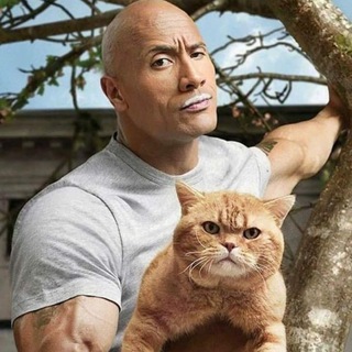 Логотип @kinoserialiidorami - kinoserialiidorami /нарезки из кино и сериалов