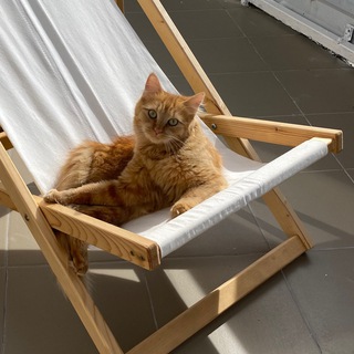 Логотип @kinovinoikotiki - Кино, вино и котики