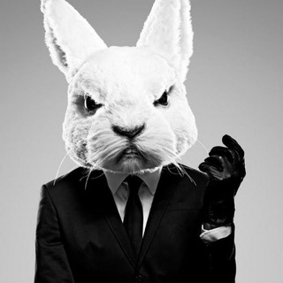 Логотип @kinozaya - КИНОЗАЯЦ | Игра в Кальмара