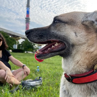 Логотип @kira_kroshka - (K&K) Kira & Kroshka SuperGav