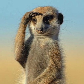 Логотип @kiraeremina - Кіра Єрьоміна