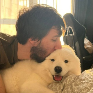Логотип @kirillevanscryptobitcoin - Kirill Evans Crypto Community