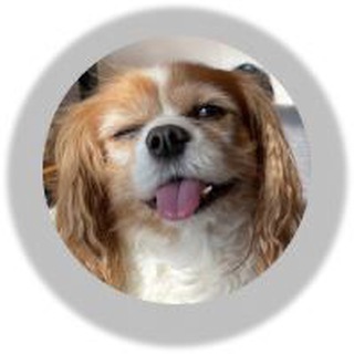 Логотип @kirjs_ru - kirjs_ru