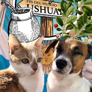 Логотип @kirsafred2022 - Двое в Аргентине, не считая собаки и кота! 🔥🏜🌞✨🇦🇷