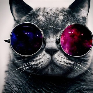 Логотип @kirschlylivebackup - Kirschly Backup | 2022-2026 | [2.0]