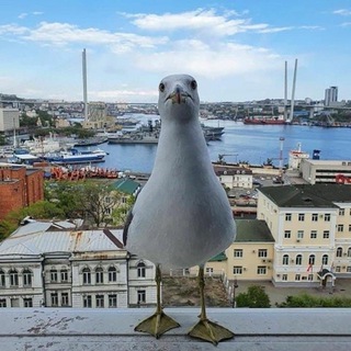 Логотип @kiruhinanatali - Кирюхина Наталья