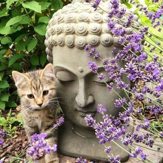 Логотип @kiryushaodin - страх одиночества