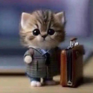 Логотип @kiskirazbl - кхк антишоп