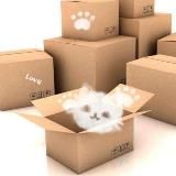 Логотип @kiskisstore - KiskiStore😻