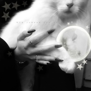 Логотип @kisstvw - the end. горная са́кура