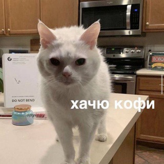 Логотип @kitmuy - Шерстяной уголок