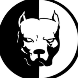 Логотип @kitoboy_mining_chat - smotraTV