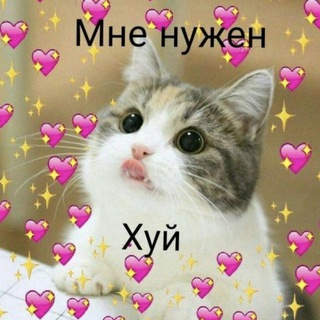 Логотип @kitochkaasmr - 😼чат котёнков😼