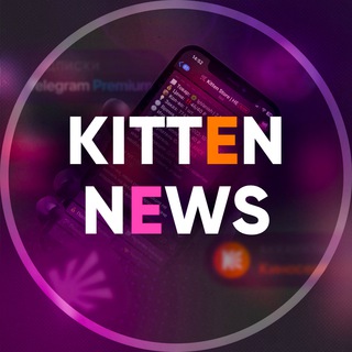 Логотип @kitten_news - Kitten News